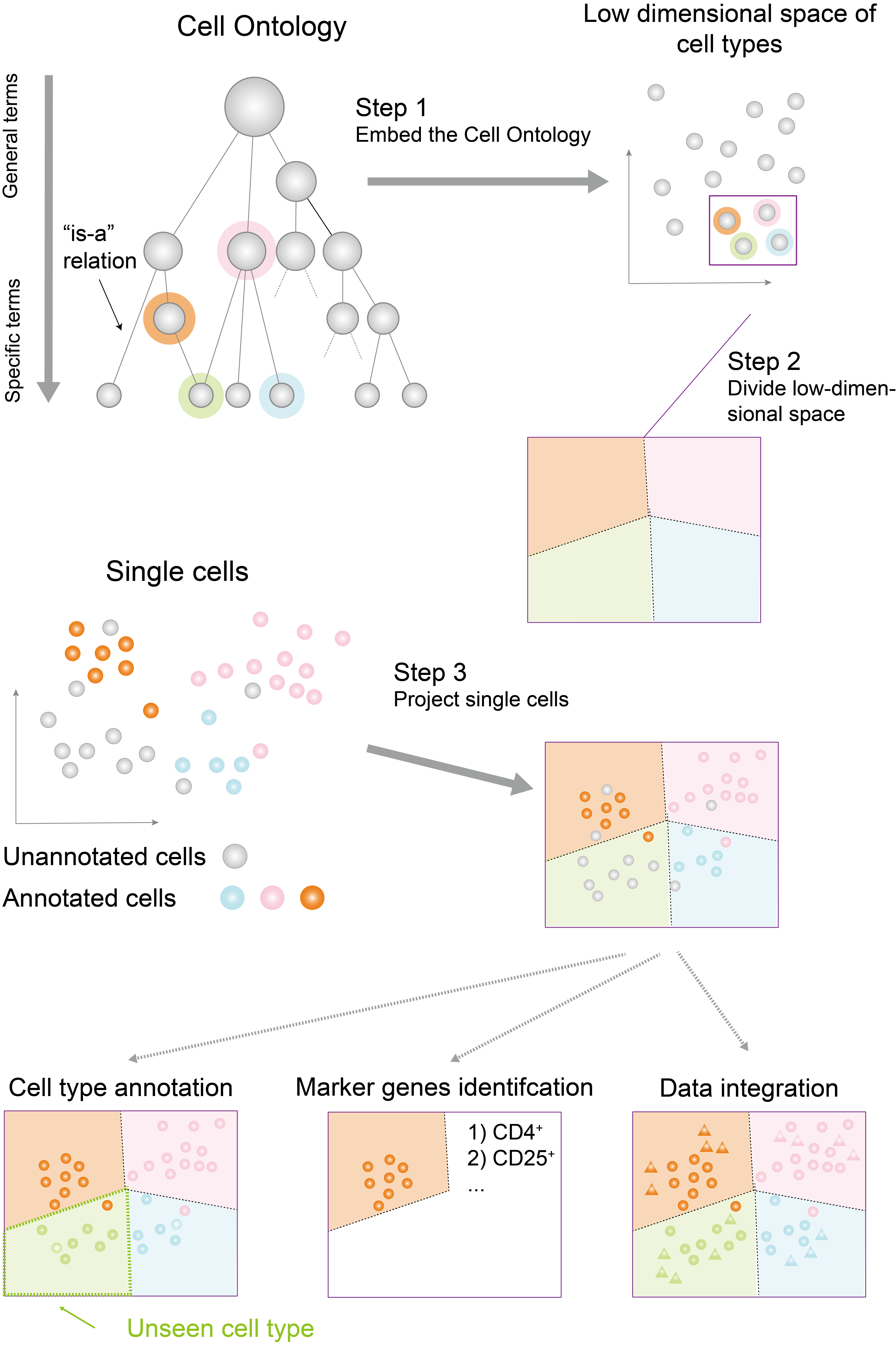 _images/flowchart.png